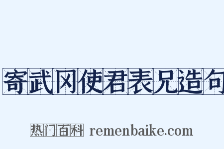 寄武冈使君表兄造句是什么意思的图片